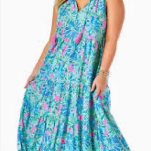 Lilly Pulitzer Malone dress.